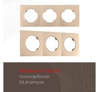 Рамка из поликарбоната на 3 поста Arte Milano 502.04-3.shampan