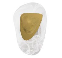 Настенный светильник Arte Lamp LIBERTAS A2096AP-5PB