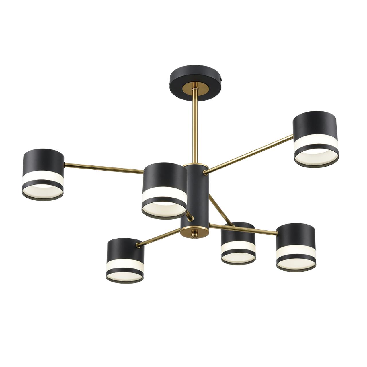 Потолочная люстра Lumion LANIKA 8240/6C