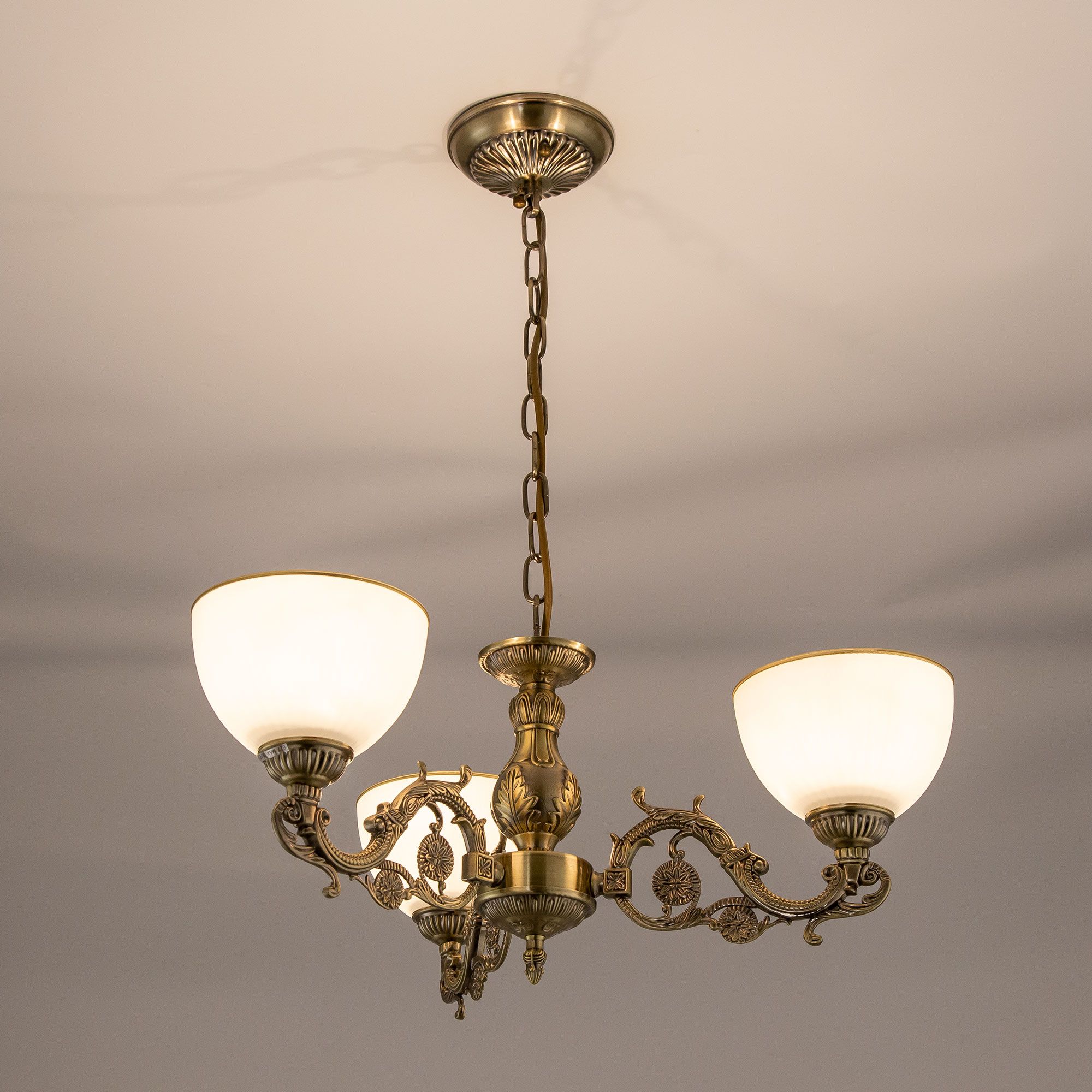 Подвесная люстра CitiLux Адриана CL405233