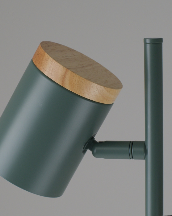 Торшер с галогенными лампами с выключателем Moderli V11290-2F_MD