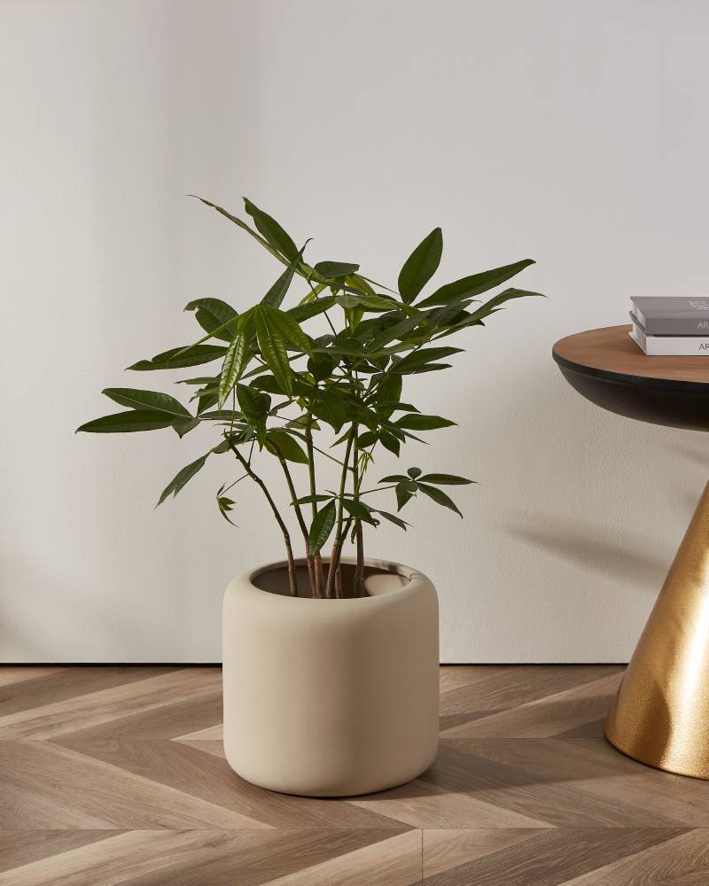 Кашпо PARKENT Eglo 428147