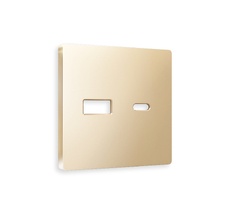 Лицевая панель для розетки 2USB тип A+C QUANT Ambrella Volt ALFA AP6110_AMB