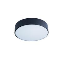 Потолочный светильник Loft IT Axel 10002/12 Black_LF
