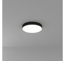 Потолочный светильник Arte Lamp FADO A7350PL-1BK