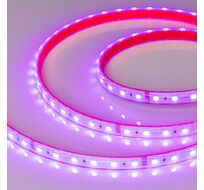 Светодиодная лента Arlight RTW-PS-B60-12mm 5060 24V 14,4w/m 024587(2)_ARL