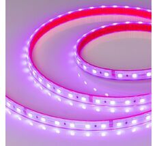 Светодиодная лента Arlight RTW-PS-B60-12mm 5060 24V 14,4w/m 024587(2)_ARL