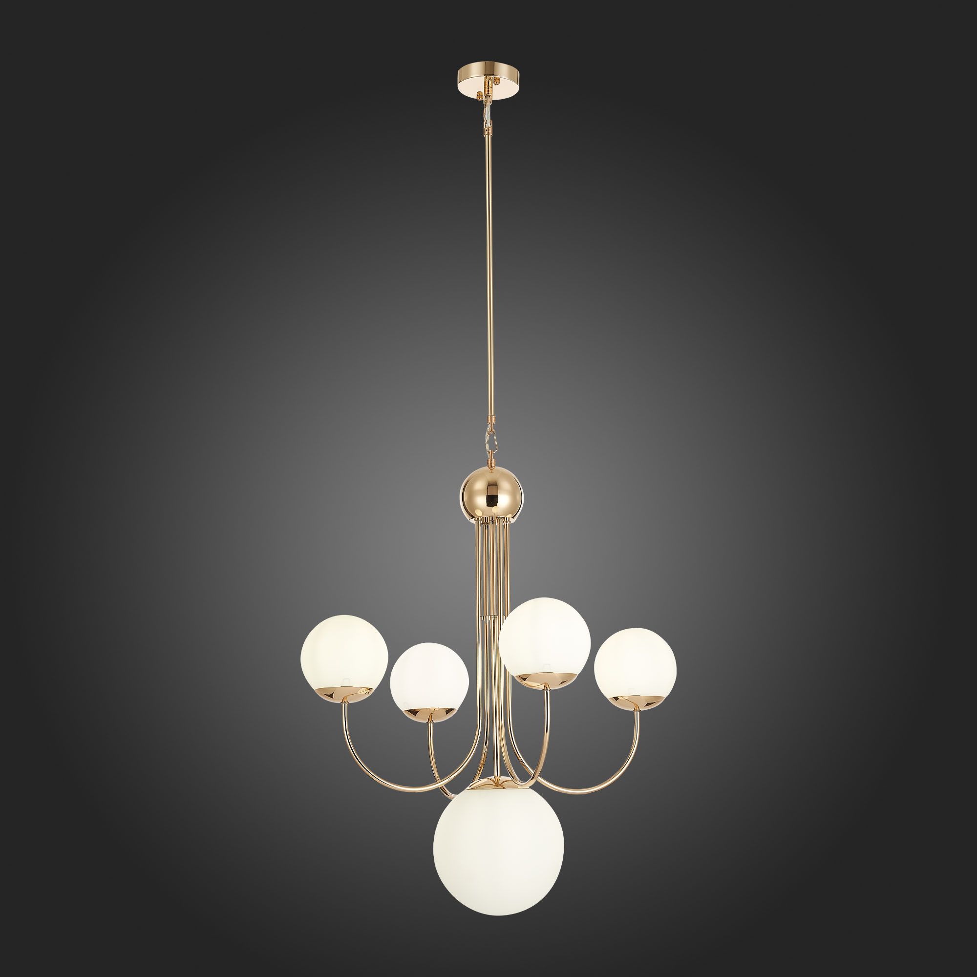 Подвесная люстра ST Luce Avellino SL1504.203.05