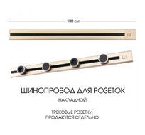 Шинопровод накладной Arte Milano track-sockets 385201TOB/100 Gold
