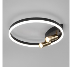 Потолочная люстра Eurosvet Светодиодная Умный дом Luminari a055664_EU