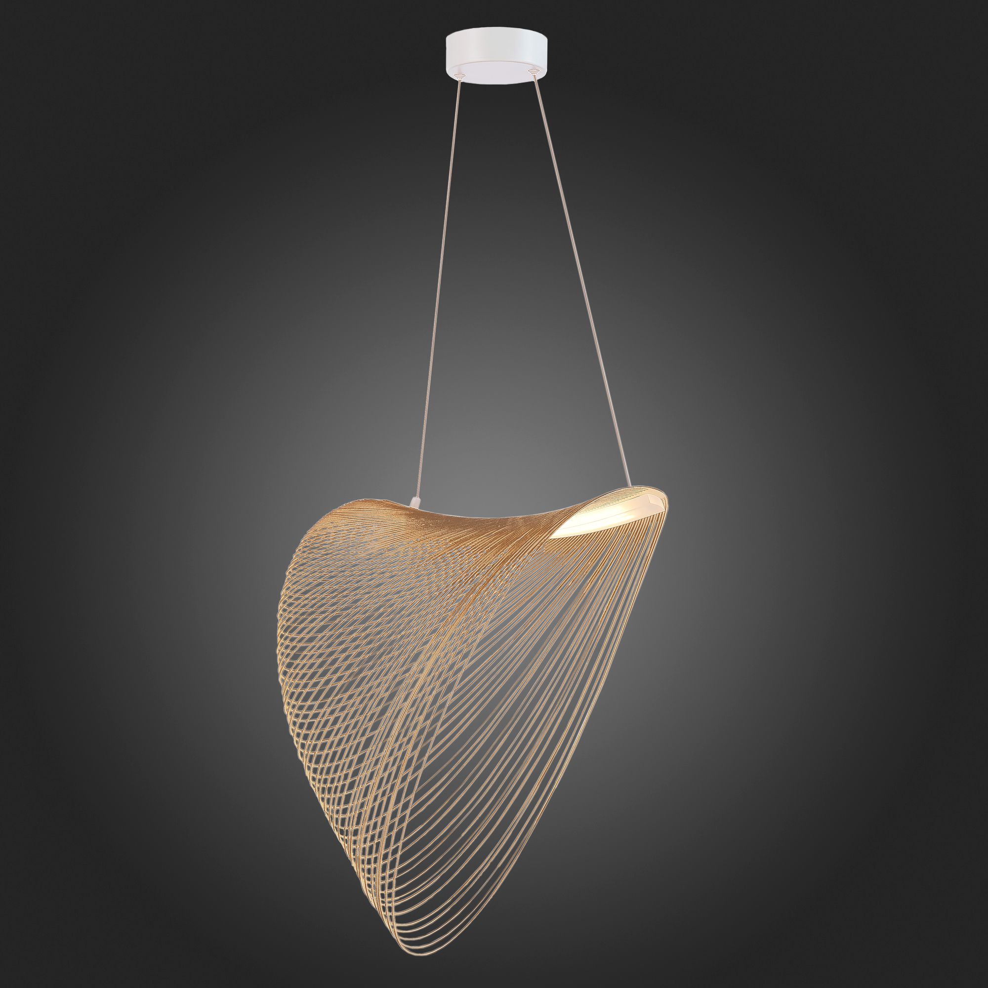 Подвесной светильник ST Luce FOSSIL SL6900.503.24