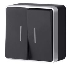 Выключатель двухклавишный с подсветкой Werkel Gallant a051144_WR