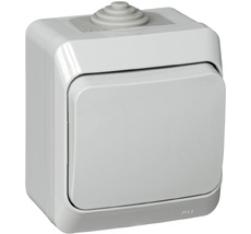 Выключатель накладной одноклавишный (серый) IP44 Systeme Electric BA10-041C