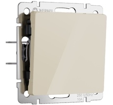 Выключатель одноклавишный проходной Werkel a064054_WR