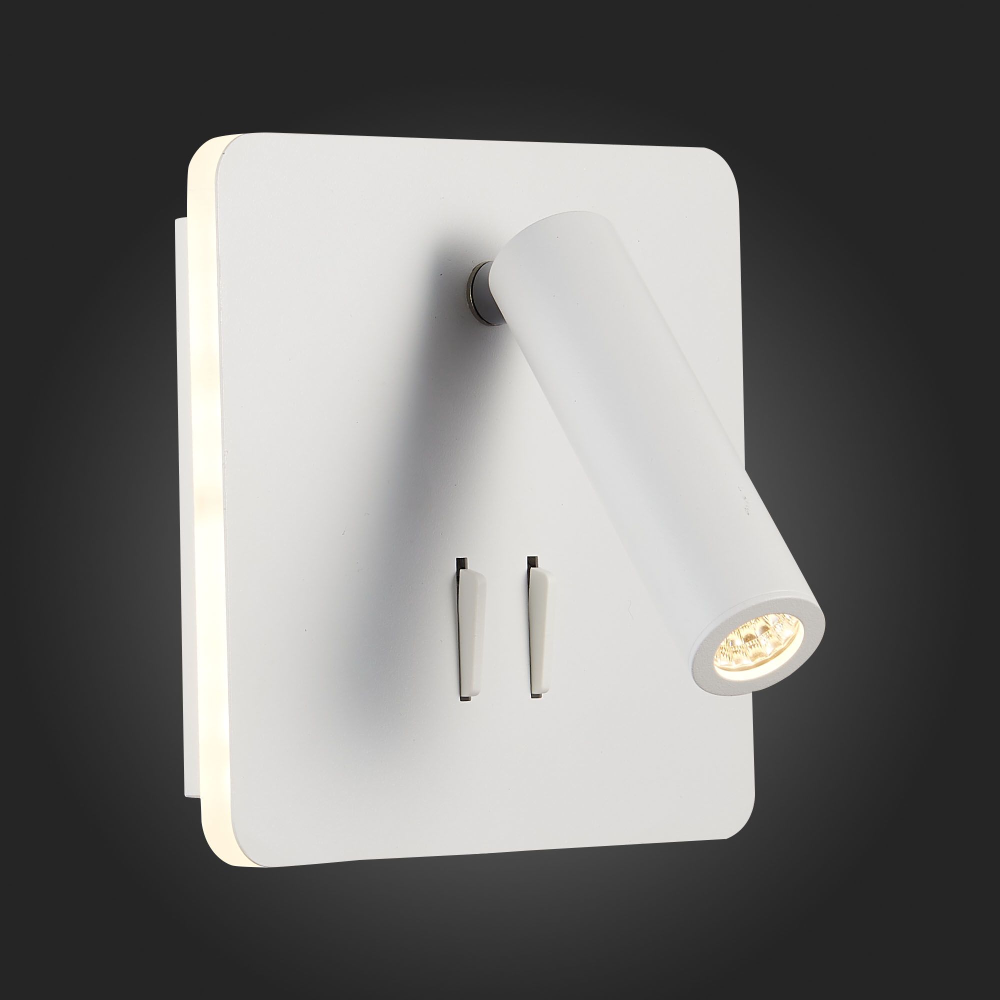 Настенный светильник ST Luce PINAGGIO SL1586.531.01