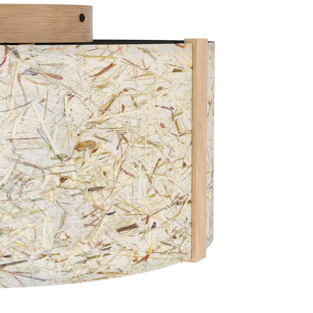 Потолочный светильник Eglo HONTONGAS 390322