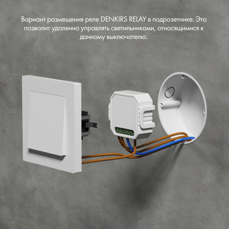 Wi-Fi реле Denkirs Relay RL1003-DM/1