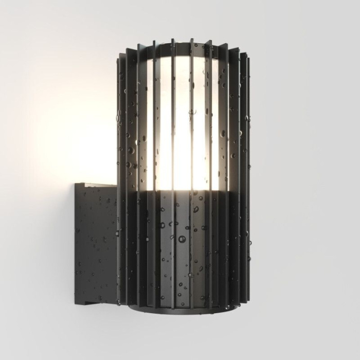 Светильник настенный Denkirs FARSUN DK9722-BK