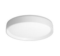 Потолочный светильник Citilux BOSS CL751350G