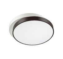 Настенно-потолочный светильник Lumion AGATHA 4509/72CL