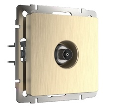 ТВ-розетка оконечная Werkel WL10-TV a051427_WR