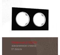 Рамка из закаленного стекла на 2 поста Arte Milano 502.01-2.black