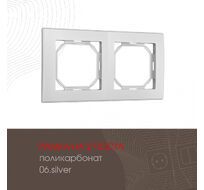 Рамка из поликарбоната на 2 поста Arte Milano 503.06-2.silver