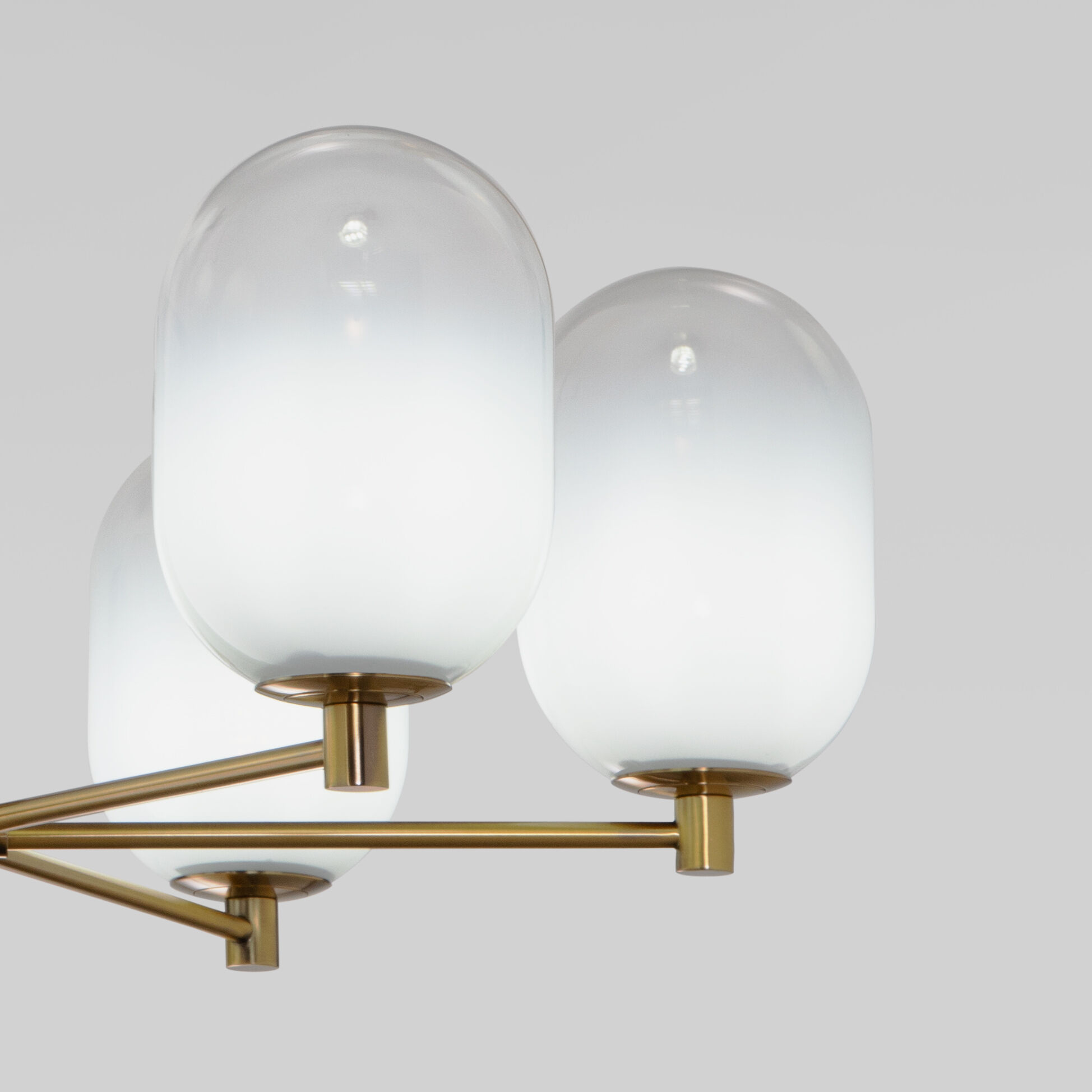 Потолочная люстра Eurosvet Loona a065609_EU