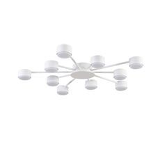 Потолочная люстра LUMION TORINA 8343/10C