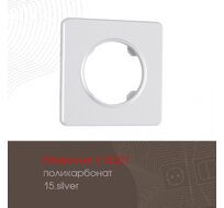Рамка из поликарбоната на 1 пост Arte Milano 502.15-1.silver