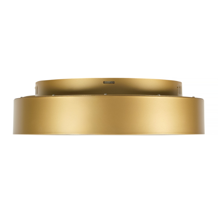 Потолочный светодиодный светильник круглый с пультом IP40 MyFar MR2195-1PL