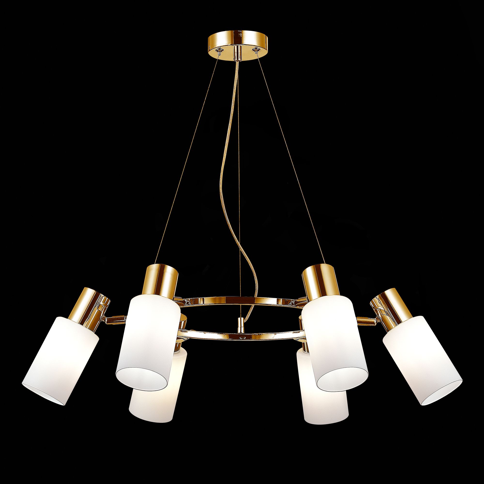 Подвесная люстра Evoluce GESSI Modern SLE1139-303-06