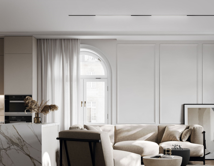 Трековый светильник магнитный светодиодный 3CCT 3000K-6000K 20W 48V Ambrella GL2325_AMB