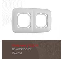 Рамка из поликарбоната на 2 поста Arte Milano 505.05-2.silver