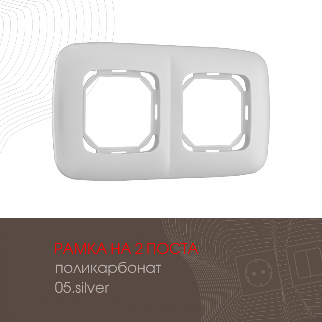 Рамка из поликарбоната на 2 поста Arte Milano 505.05-2.silver