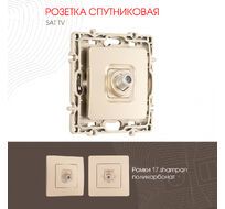 Розетка спутниковая SAT TV Arte Milano 217.42-1.shampan