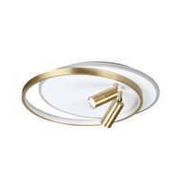Потолочная люстра Lumion NAOKO 5603/63CL