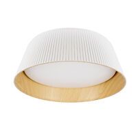 Потолочный светильник LOFT IT Evans 10224 White_LF