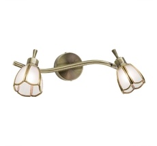 Спот CitiLux Альтен CL522521