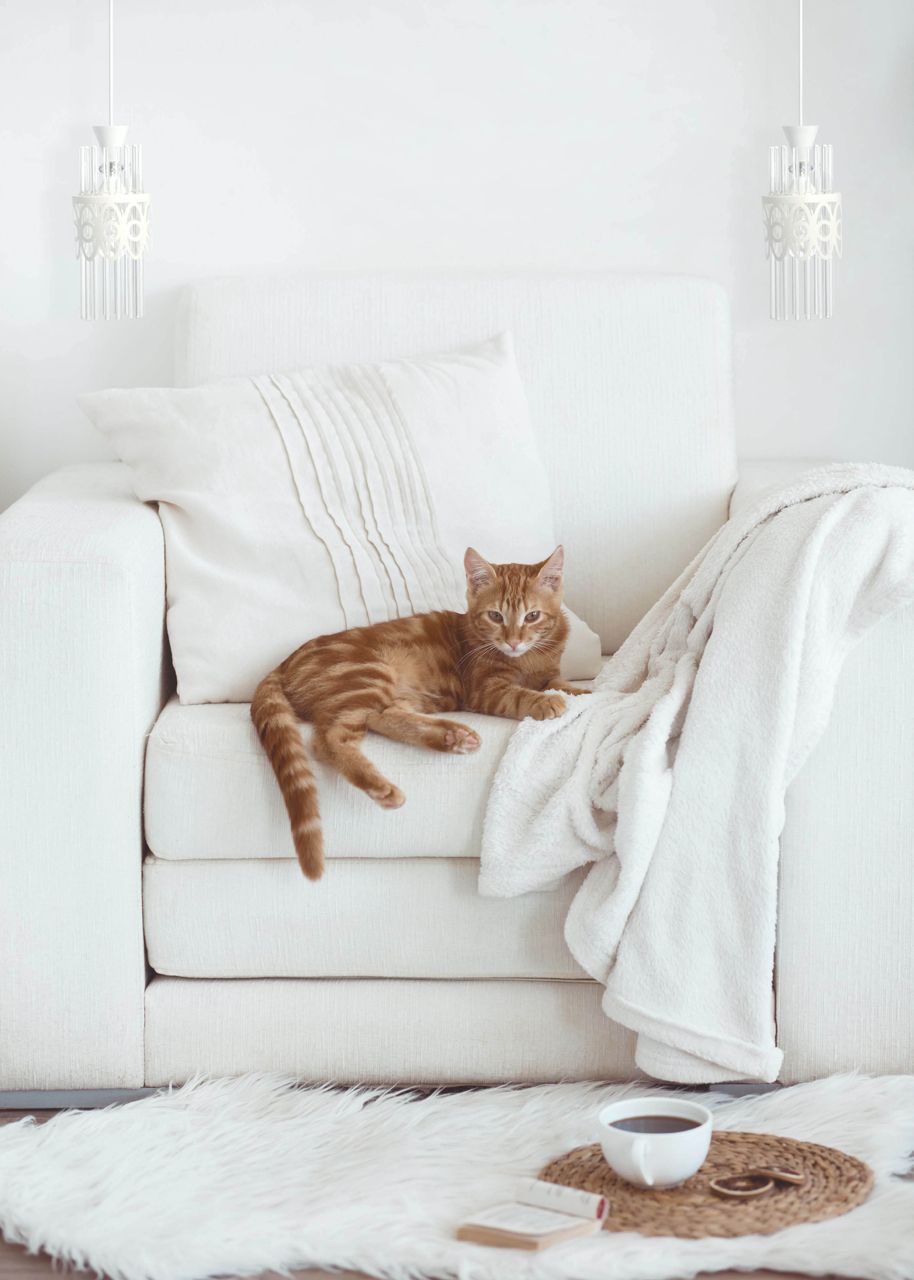 Подвесной светильник De Markt Соло 112010801_MW