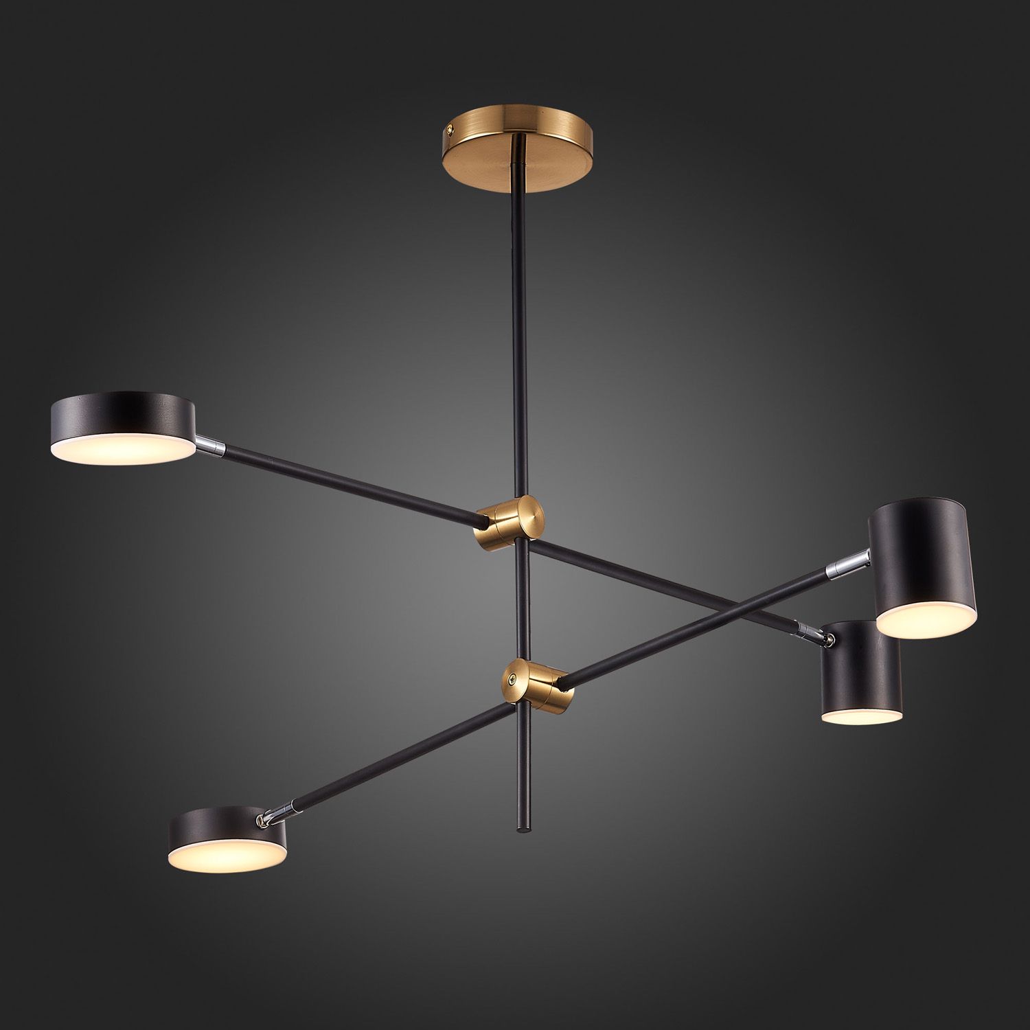 Потолочная люстра ST Luce RODRIGO SL1604.432.04