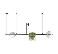Подвесная люстра Loft IT Jardin 10121/D Dark grey_LF