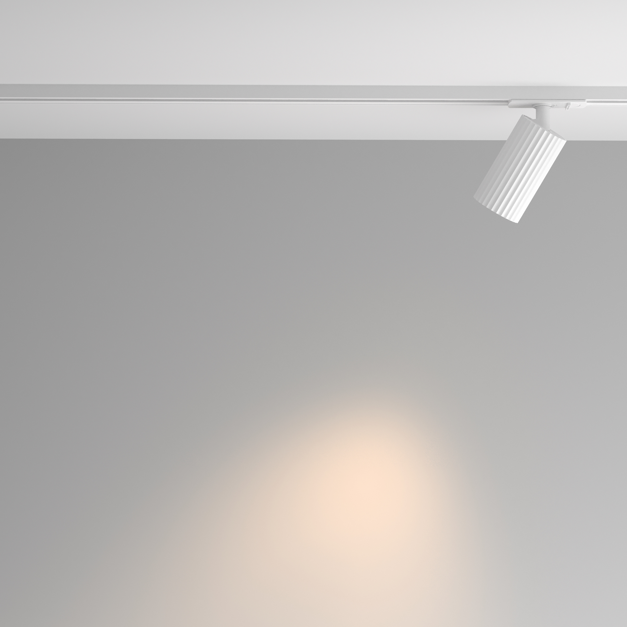 Трековый светильник Maytoni Calipso TR218-1-GU10-W_MY