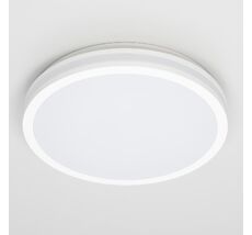 Потолочный светильник Citilux LUNS CL711020V