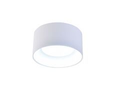 Потолочный светильник Favourite Rout 4211-1C