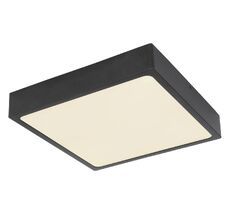 Потолочный светильник Globo Echo 12369-22_GL