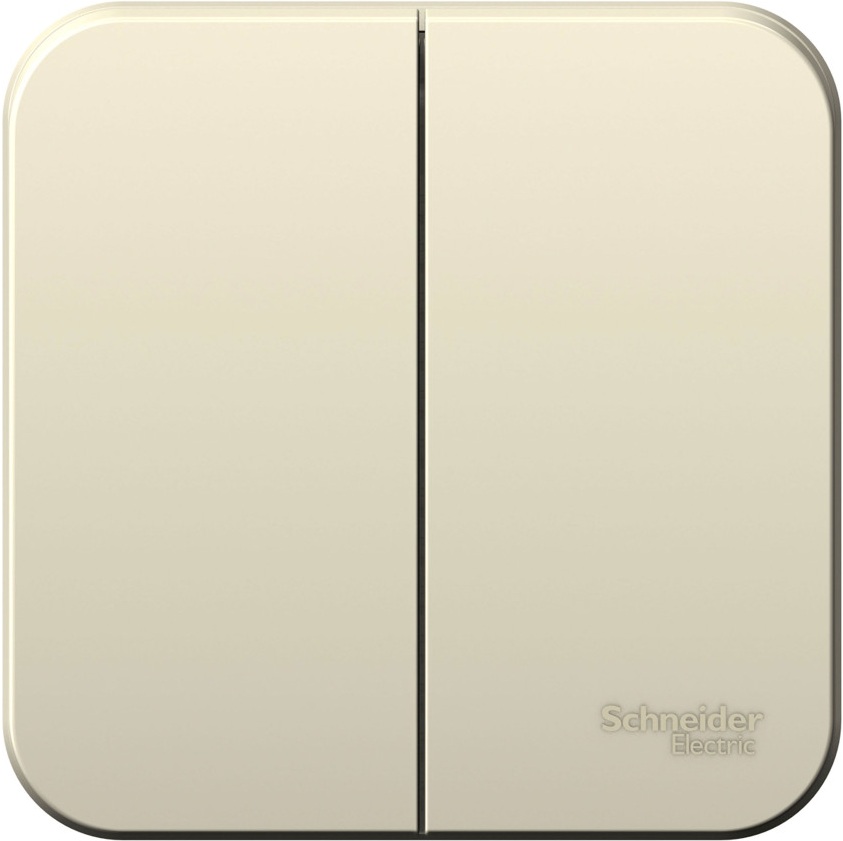 Выключатель накладной двухклавишный (молочный) Systeme Electric BLNVA065002