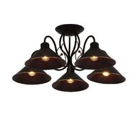 Потолочная люстра Evoluce CIOLLA SLE120402-05