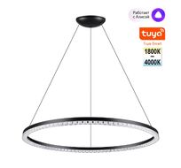 Подвесная люстра диммир. со сменой цв. температуры (управл. - пульт ДУ или прилож. Smart Life) NOVOTECH MONILE 359711