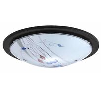 Потолочный светильник Planet 32125